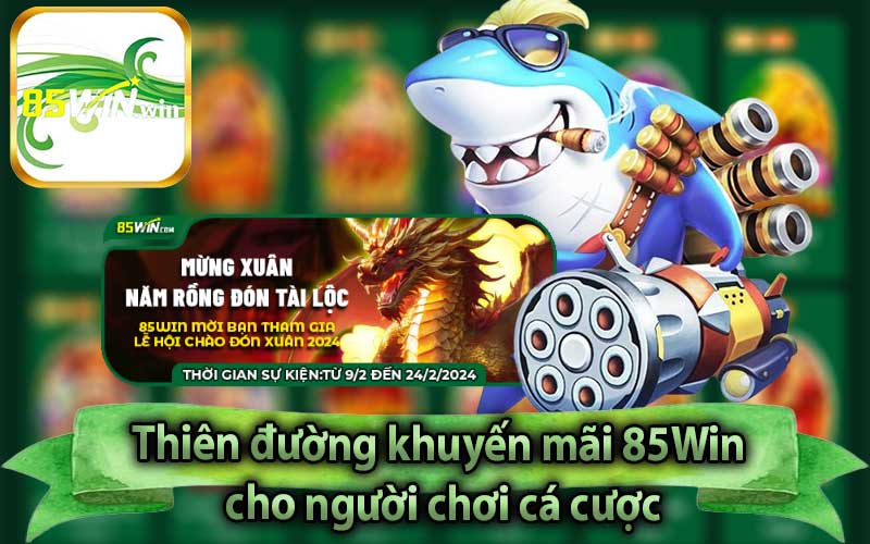 Thiên đường khuyến mãi 85Win cho người chơi cá cược